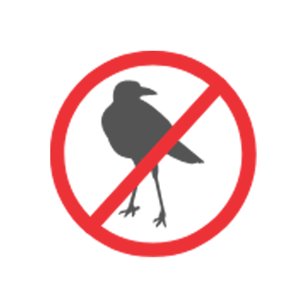 Bird Control